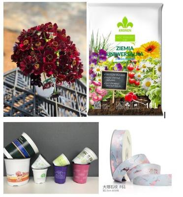 花城盛宴,百花爭艷 2020亞洲花卉產(chǎn)業(yè)博覽會8月3日開幕!