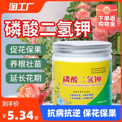 當前網(wǎng)購流行產(chǎn)品