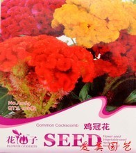 【盆栽室內(nèi)花卉批發(fā)】最新最全盆栽室內(nèi)花卉批發(fā) 產(chǎn)品參考信息