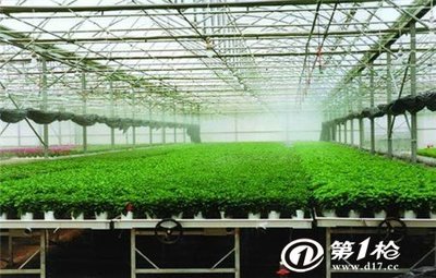曲靖花卉育苗移動苗床-從設計生產(chǎn)到成品安裝-安平華耀