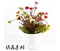 【汕頭盆景產(chǎn)品庫】_價(jià)格/圖片/廠家 - 廣東產(chǎn)品庫