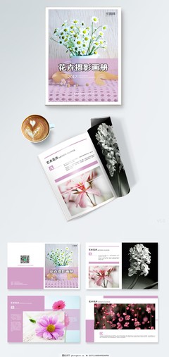 簡約藝術(shù)花卉攝影畫冊(cè)